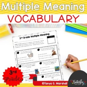 Multiple Meaning Words 3rd Grade Vocabulary Activities