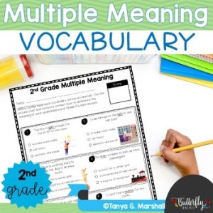Multiple Meaning Words 2nd Grade Vocabulary Activities Homonyms Practice