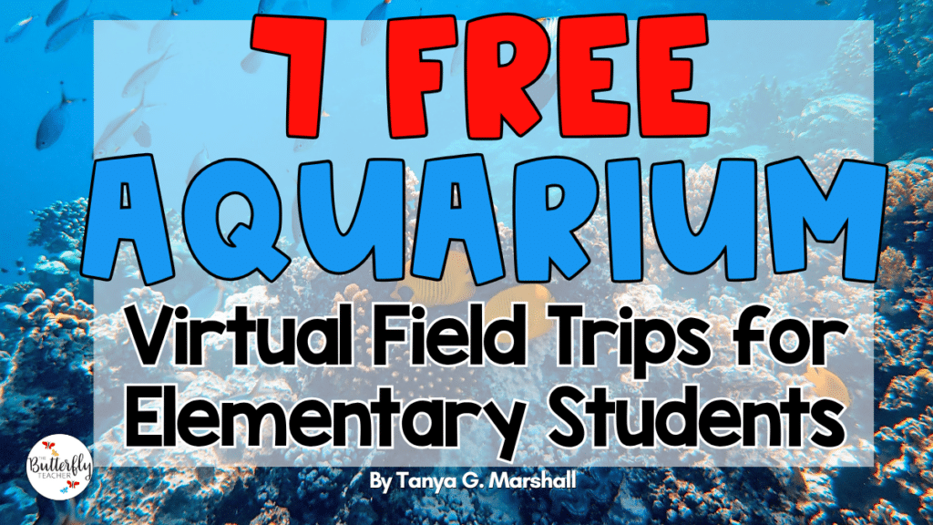 free aquarium virtual field trips