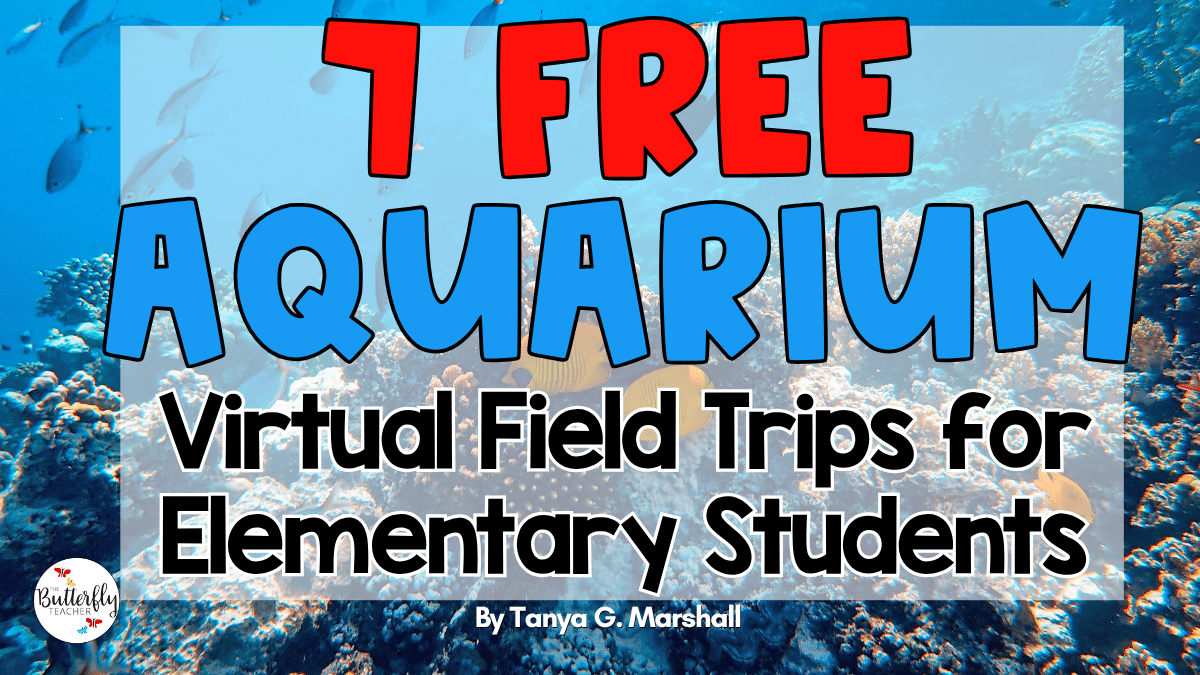 free aquarium virtual field trips